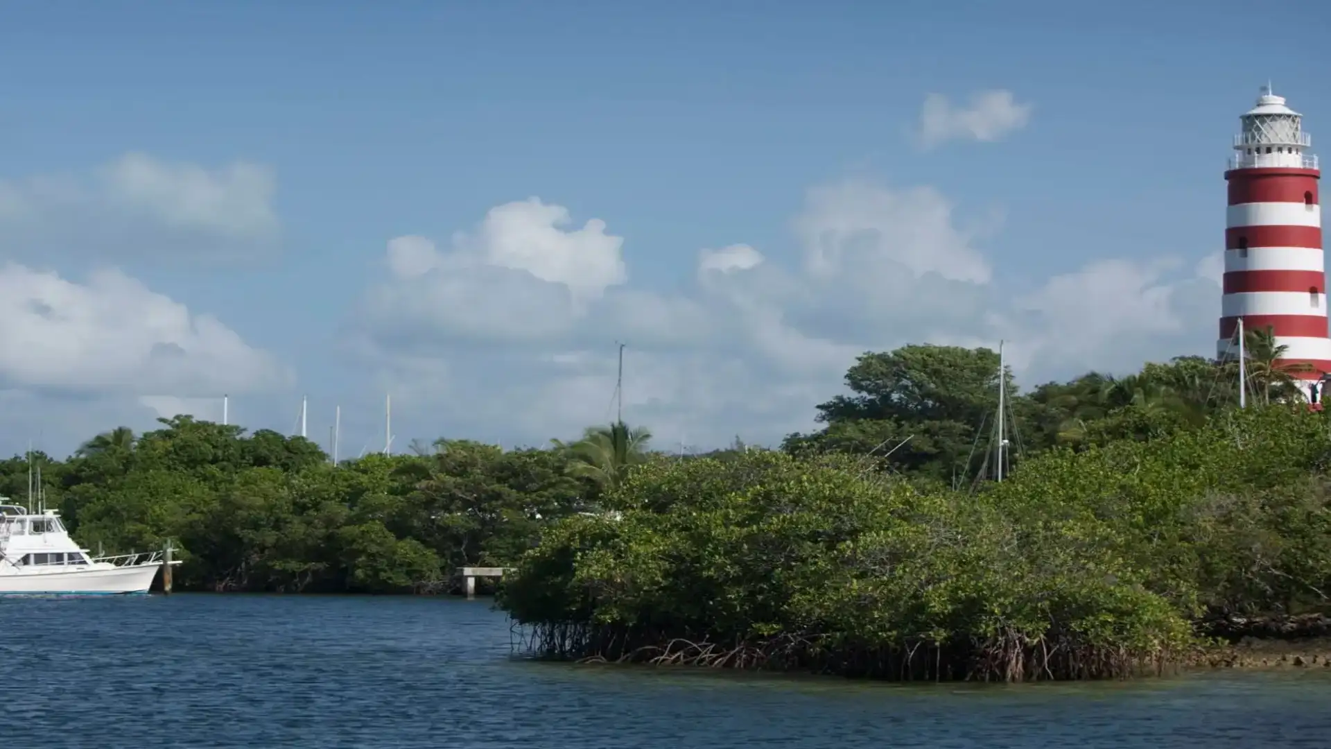Segel in den Bahamas.