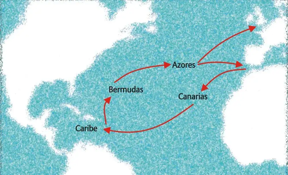 LOS ALISIOS