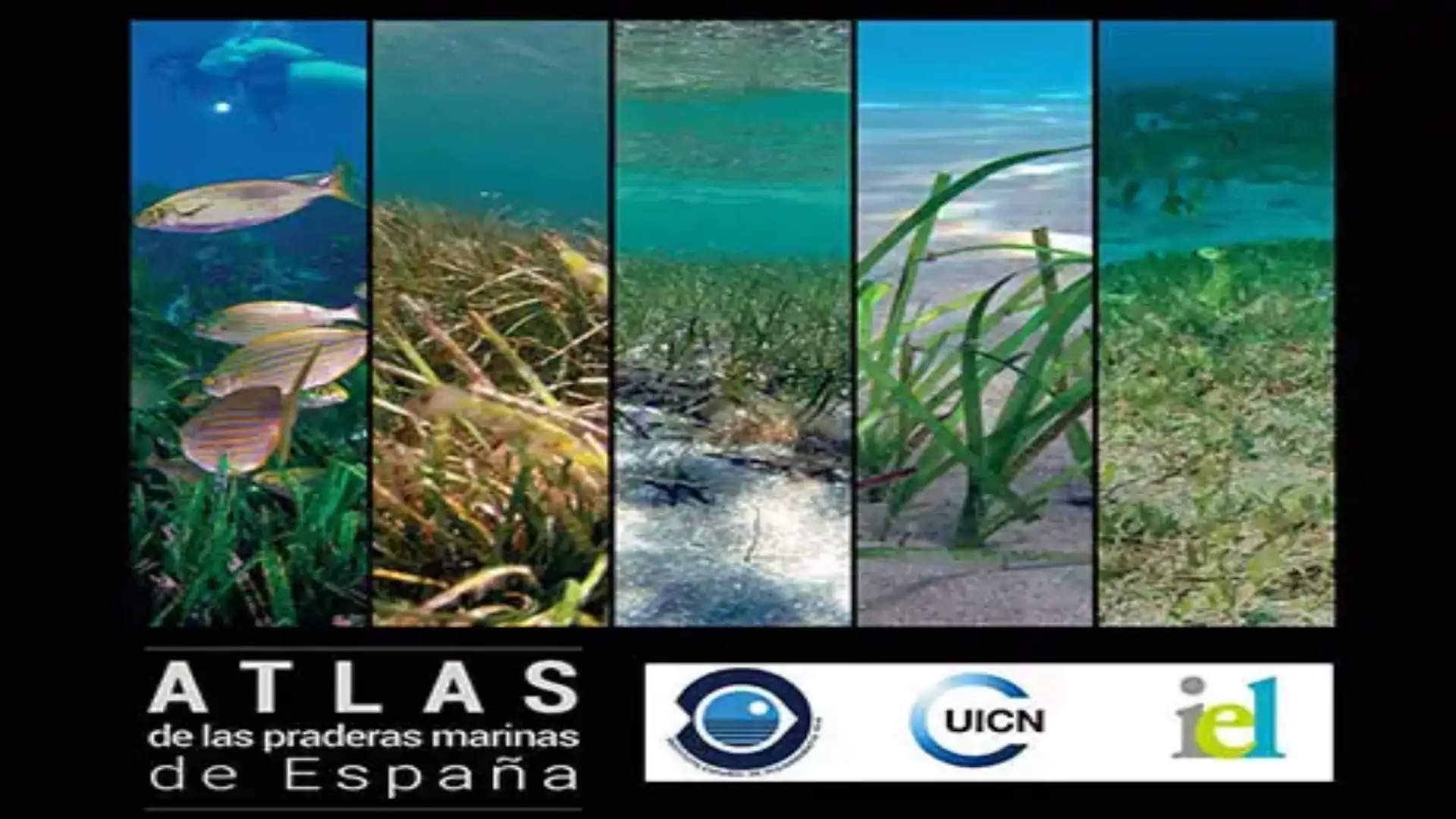 Der IEO veröffentlicht den Atlas der spanischen Seehäfen.