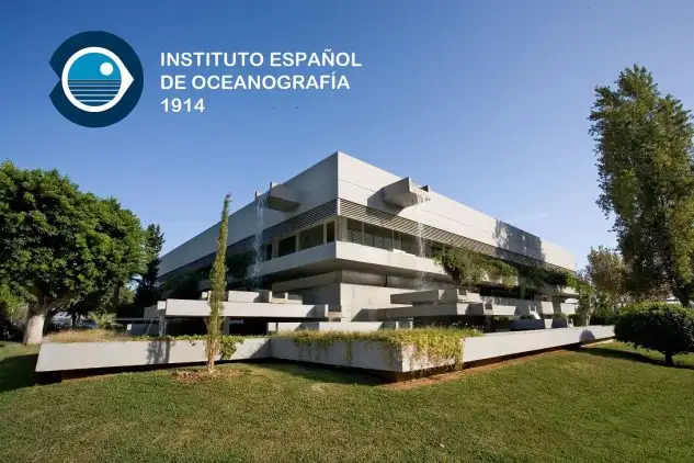 Central IEO