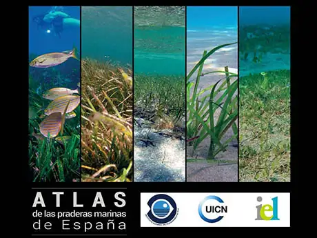 IEO-Portada atlas