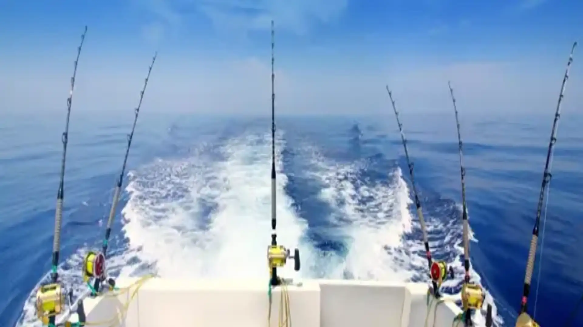 EMBARCATE, godetevi il mare: il circuito Metromar e la pesca sostenibile