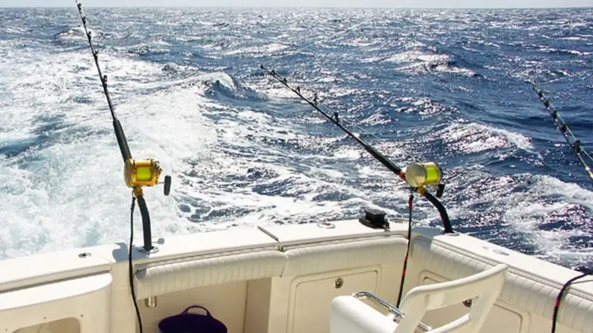 I porti canari invitano il governo a regolamentare il turismo di pesca