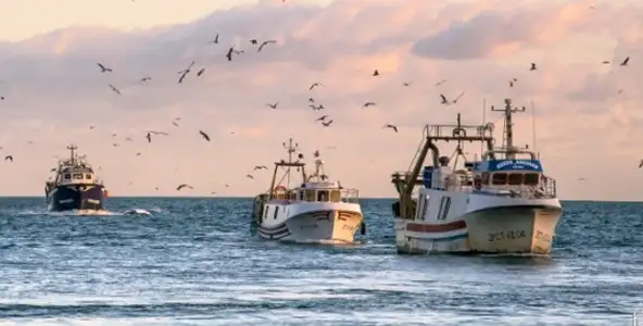 CEPESCA urge a Tejerina a modificar el Real Decreto que exige el encendido de la Caja Azul e inmovilización permanente de buques durante las paradas