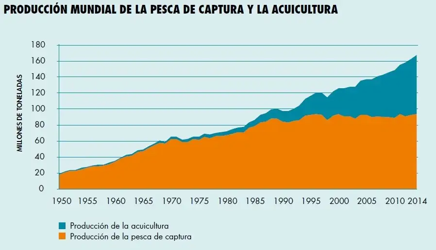 Tanto en volumen de capturas, como en producción en acicultura China domina con amplitud (FAO)