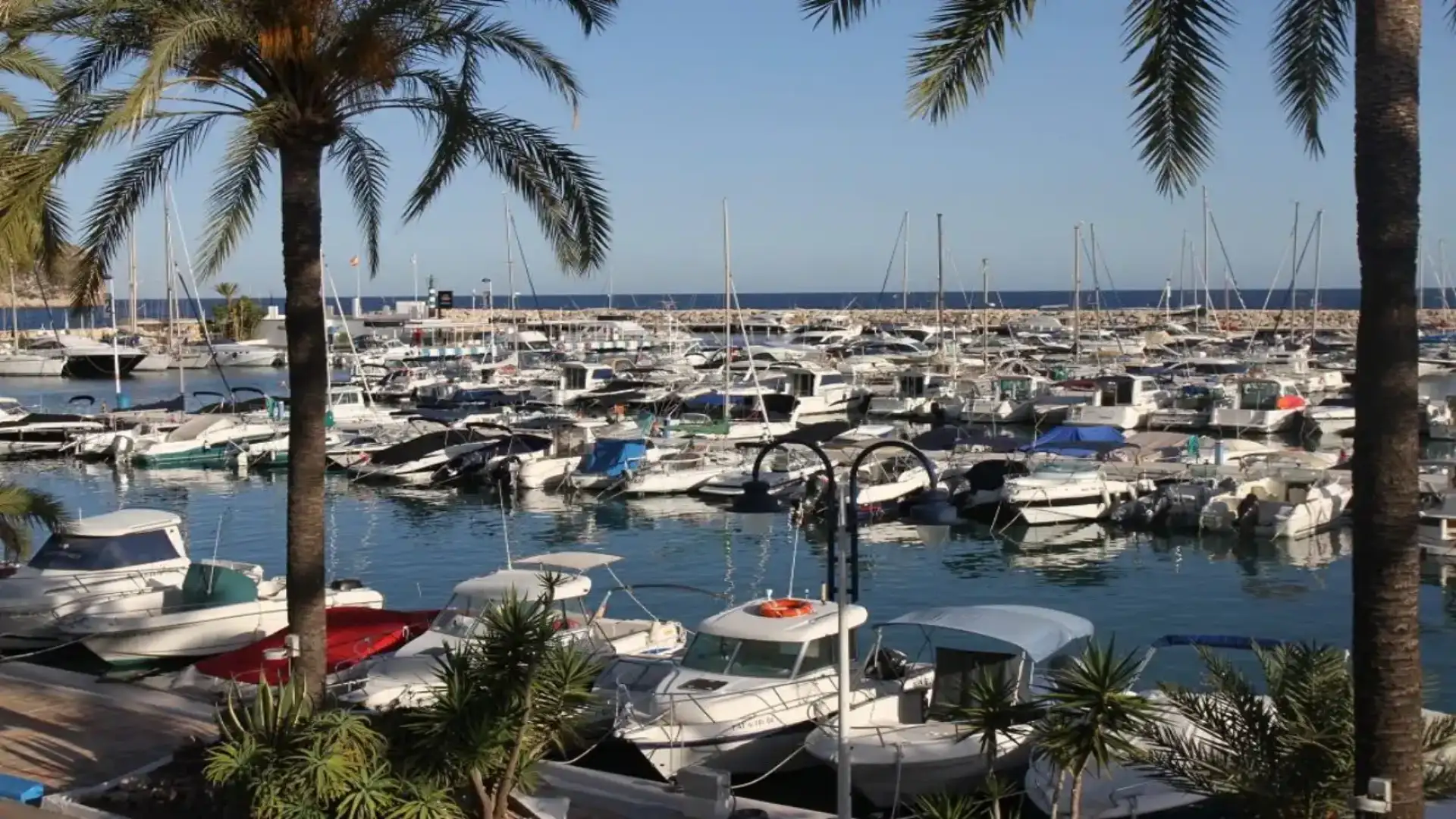 Secondo ANEN a febbraio, la registrazione della nave è giù 12 punti e l'affitto è su 13 punti