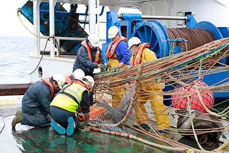 Se llevarán a cabo dos campañas oceanográficas en las que además evaluarán las poblaciones de caballa, jurel y otros peces pelágicos