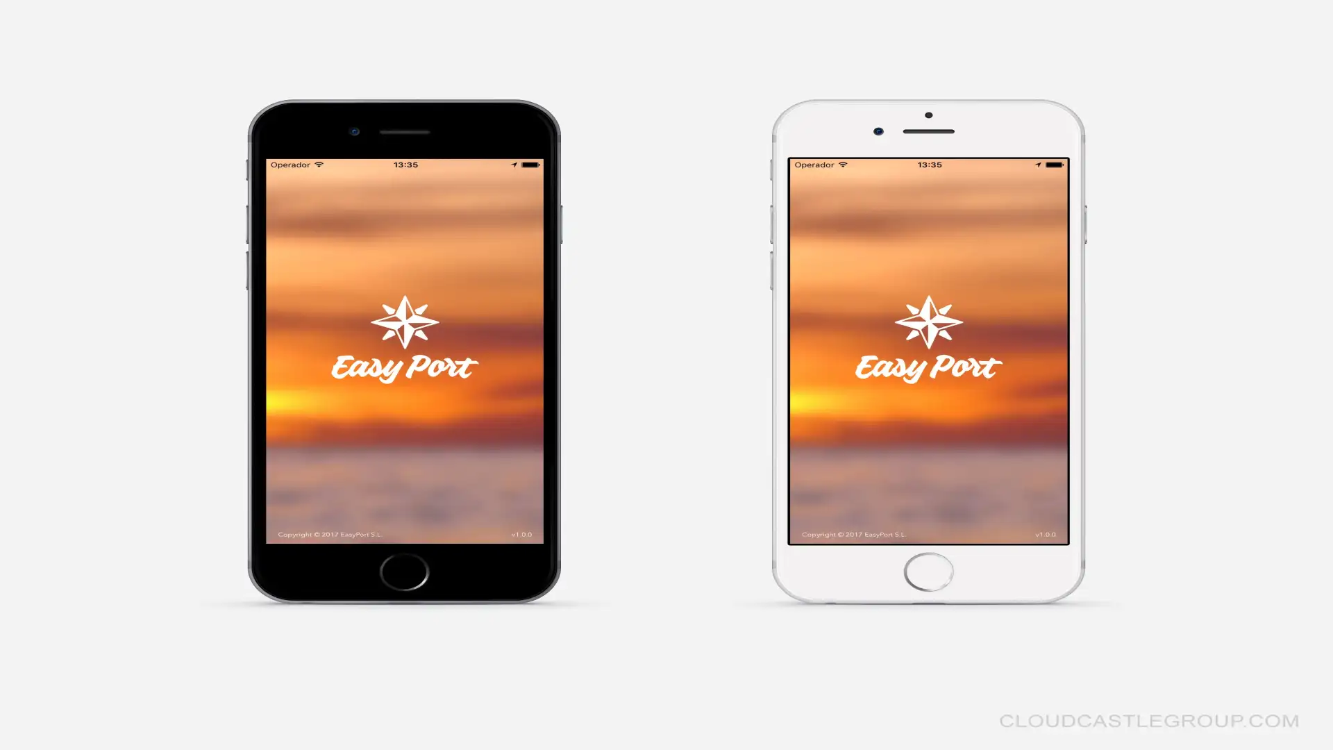 L'App gratuita, Easy Port, può già essere scaricata su dispositivi mobili