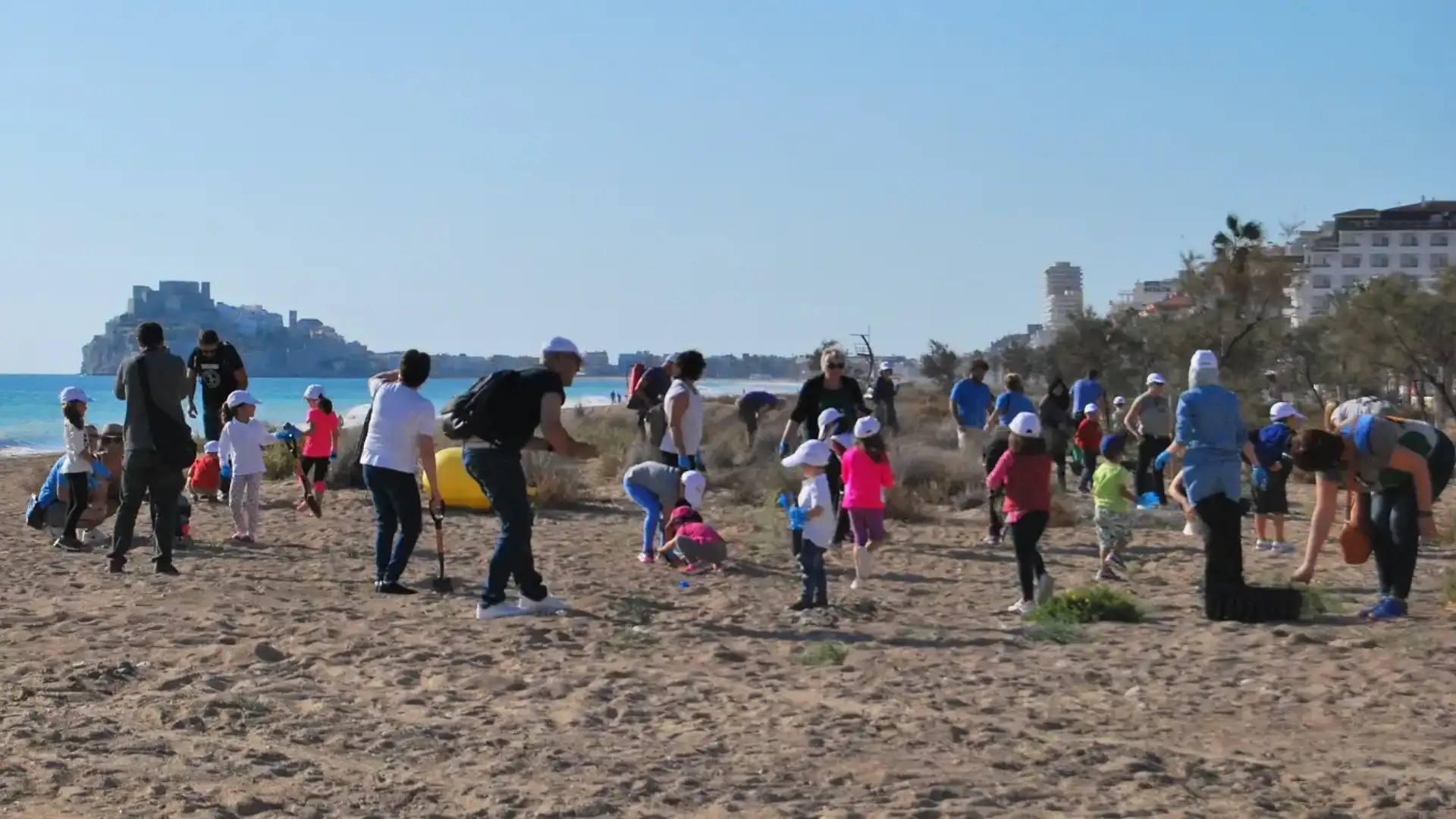 Tragsa ed Ecomar rigenerano le dune della spiaggia settentrionale di Peñíscola
