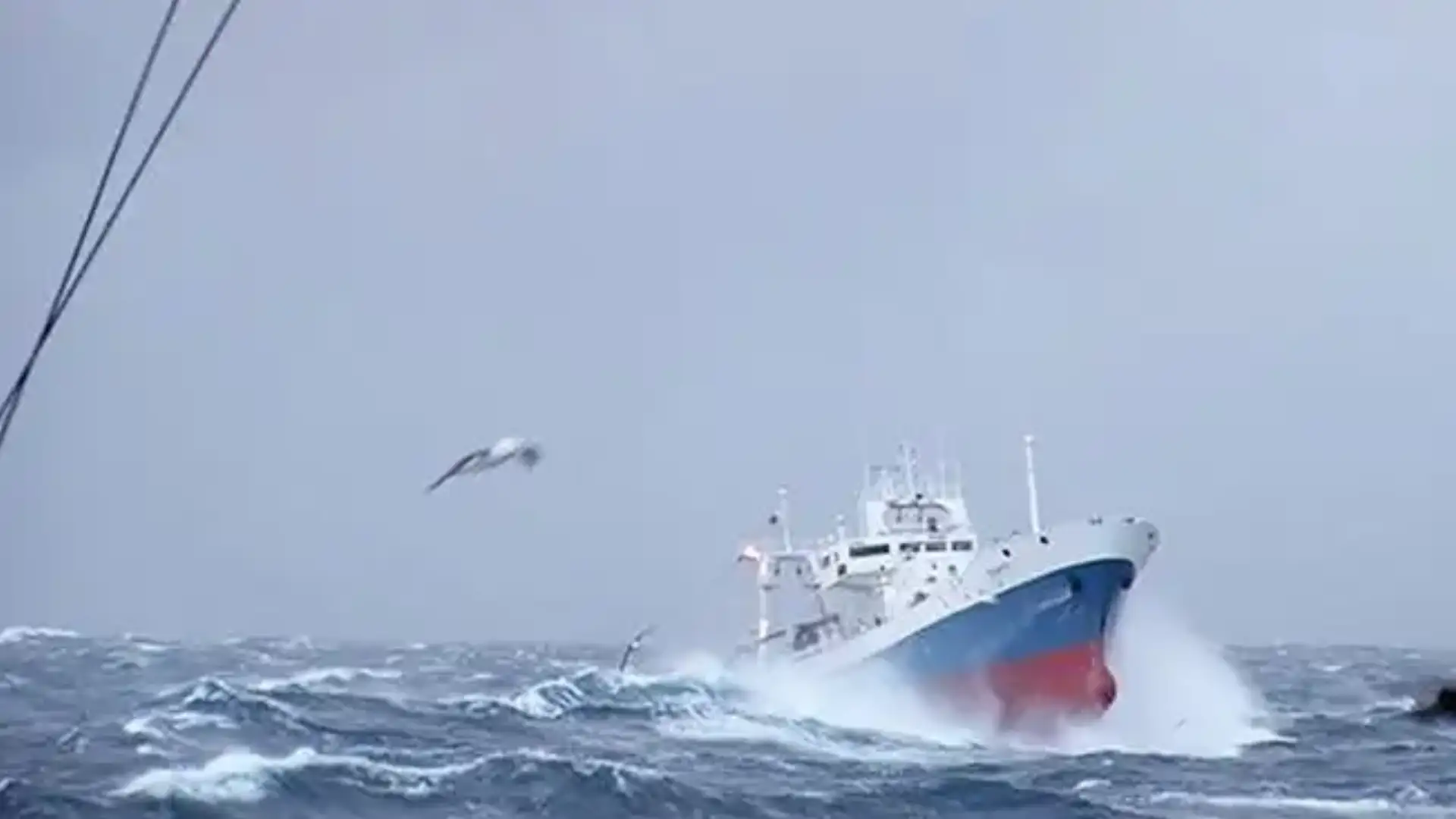 Integrazione strategica del Gruppo Nuova Pescanova a Cepesca
