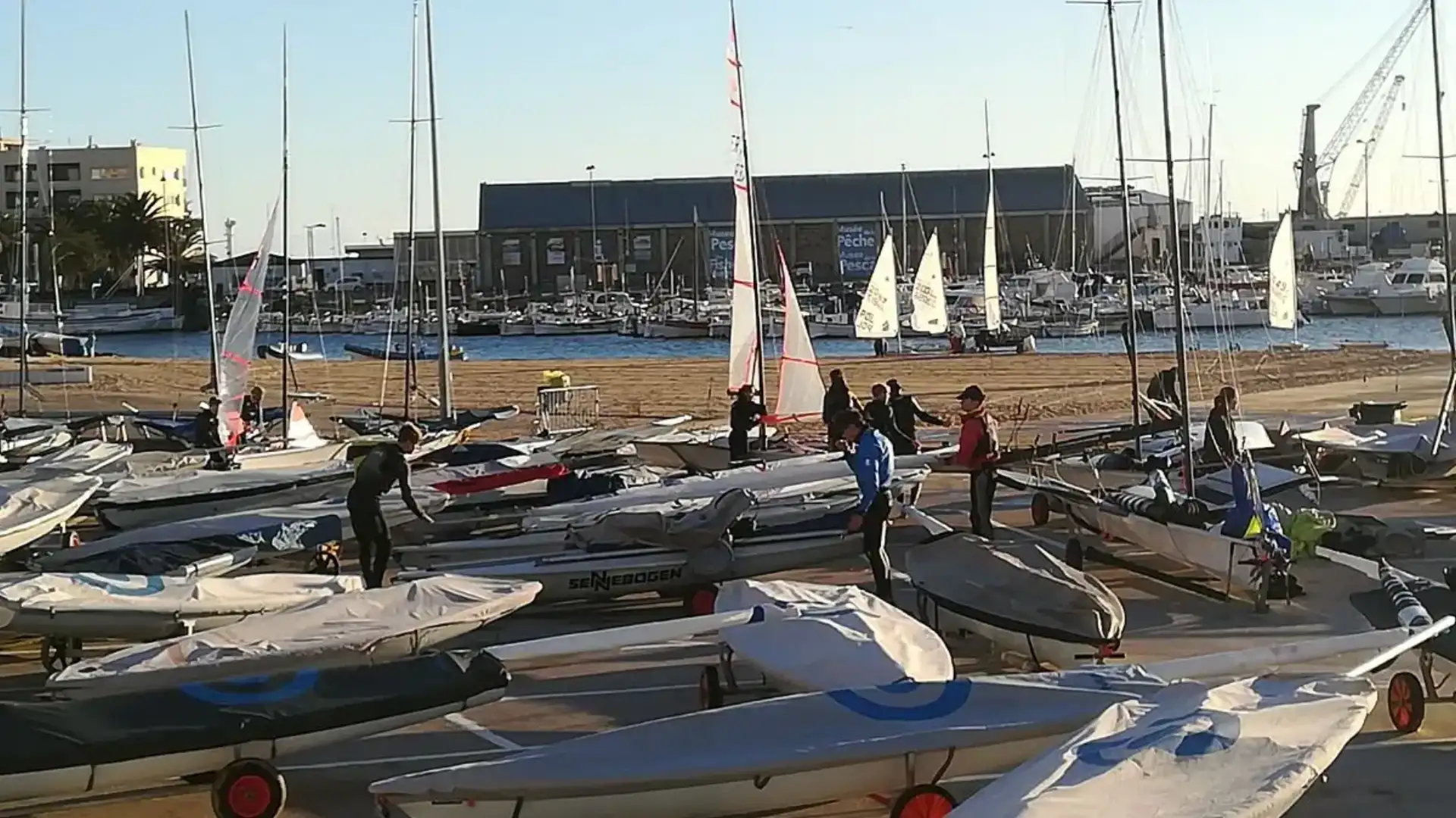 Partecipazione Elite alla Gara di Natale di Vela a Palamós
