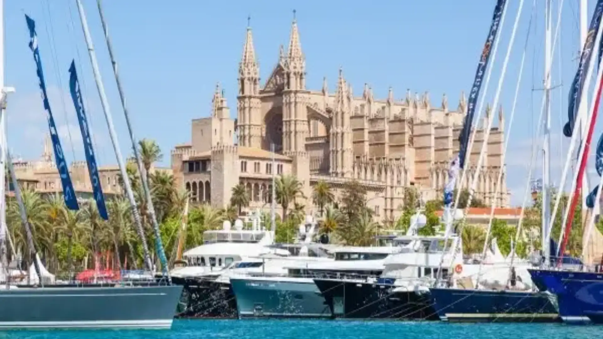 La barca di Palma Mostra chiude con 35000 visitatori e gli espositori si ripeteranno