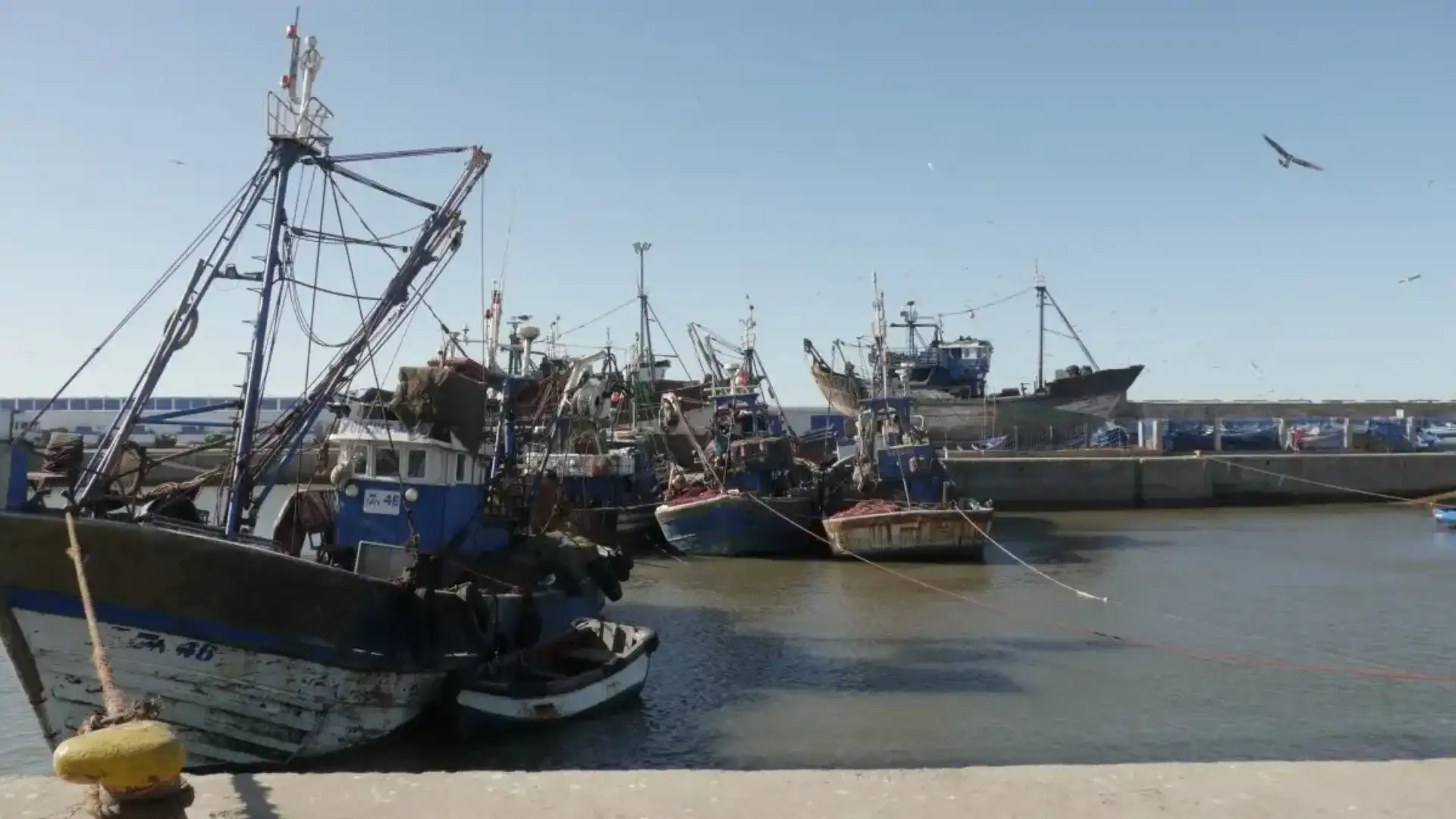 Cepesca deplora la mancanza di consenso per rinnovare l'accordo dell'Unione con il Marocco