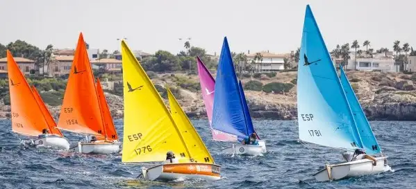 El domingo se pone punto y final al Gran Día de la Vela en s