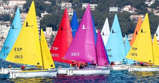Segunda jornada en la que el viento se lo ha puesto complicado a los cuatro comités de regata, aunque en casi todas las sedes se ha podido cumplir con el programa de pruebas establecido