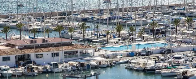80 pescadores de alto nivel en la cita mallorquina
