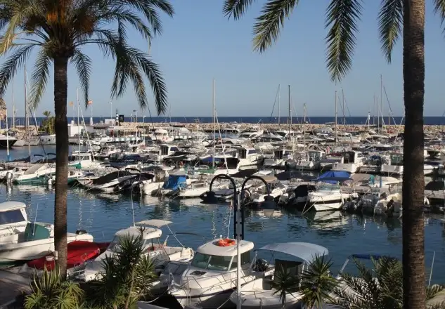 Las cifras que ofrece ANEN a través de Marina Mercante son esperanzadoras (Foto Pedro Seoane)