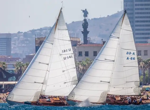 Guia, Argos, Moonbeam of Fife, Marigold y Cippino se han impuesto en la primera jornada (Foto Nico Martínez)