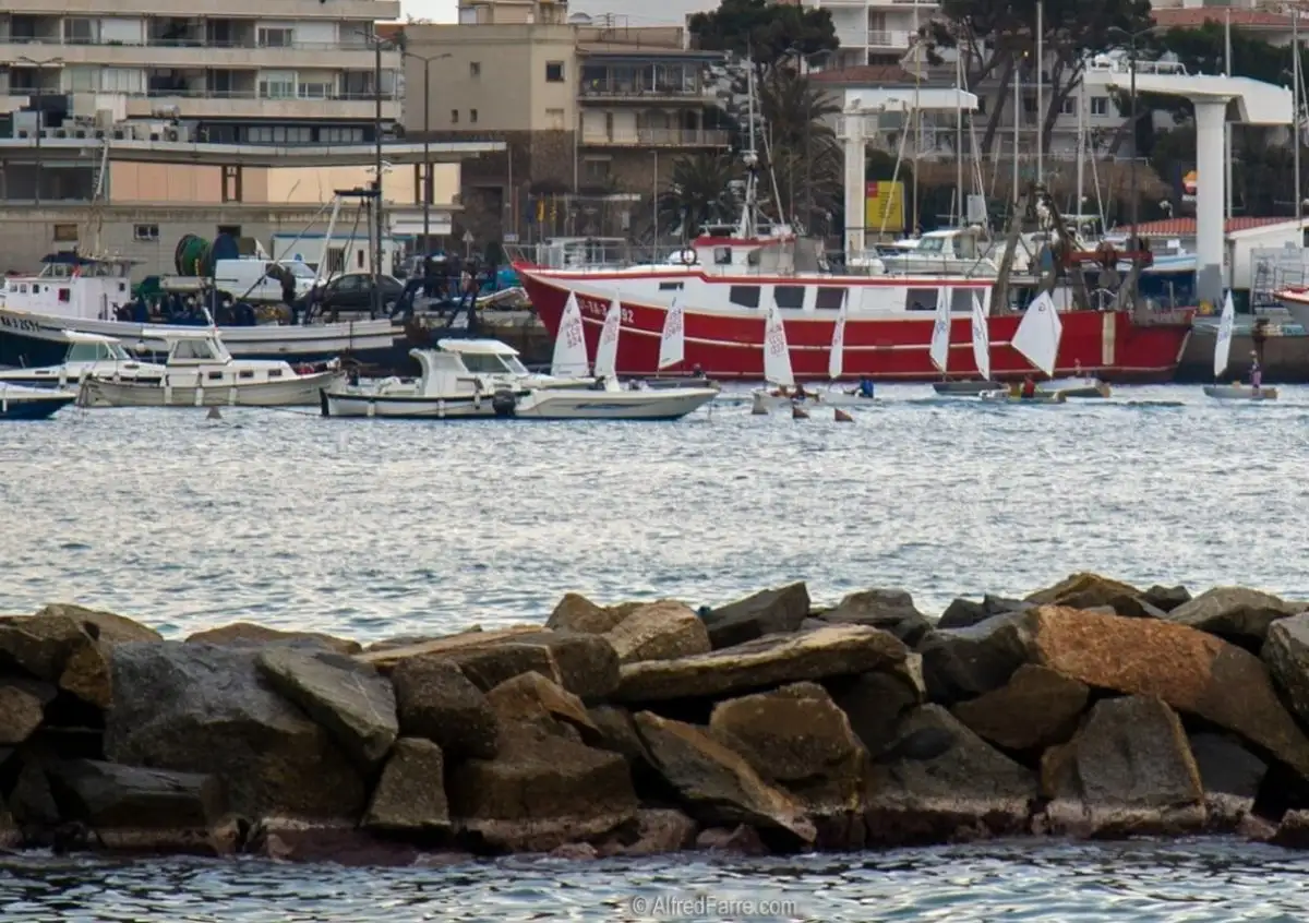 Los optimist ya están entrenando en Palamós (Foto Alfred Farré)