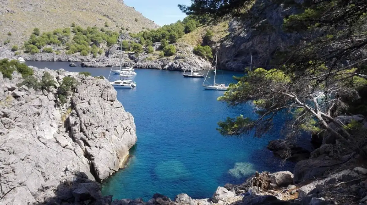 El Turismo Náutico, ligado a la práctica de la navegación de recreo, emerge como una de las opciones de ocio más seguro para este verano 2020