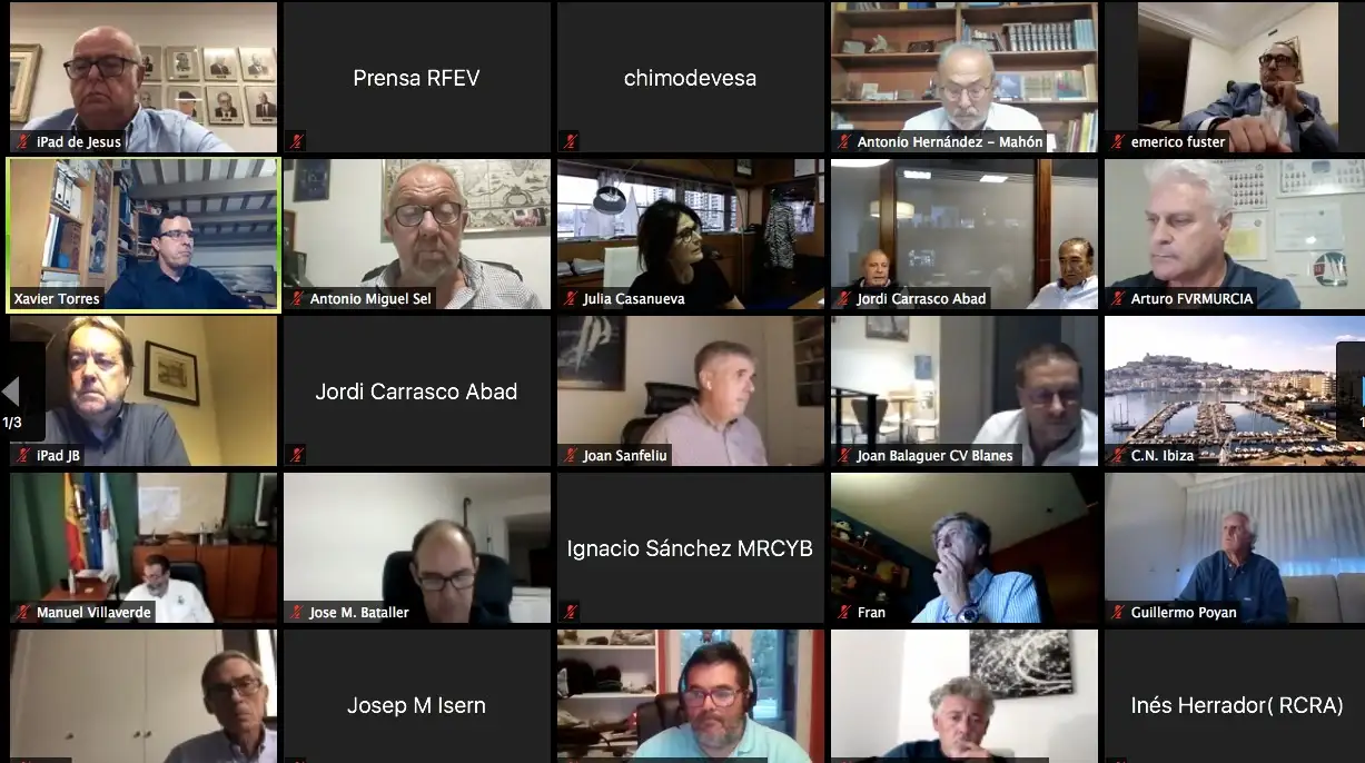 La asamblea telemática