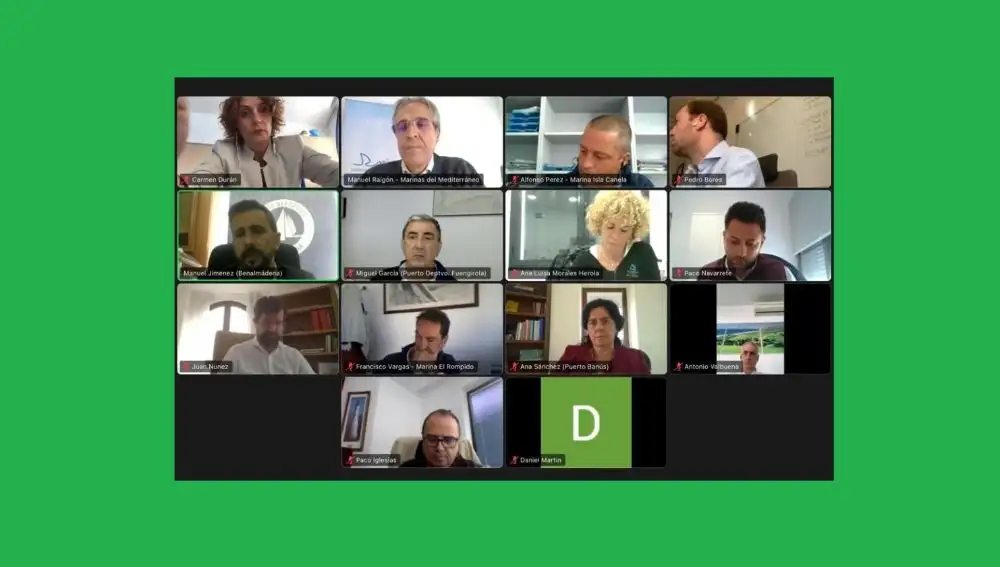 Imagen de la asamblea telemática celebrada por Marinas de Andalucía