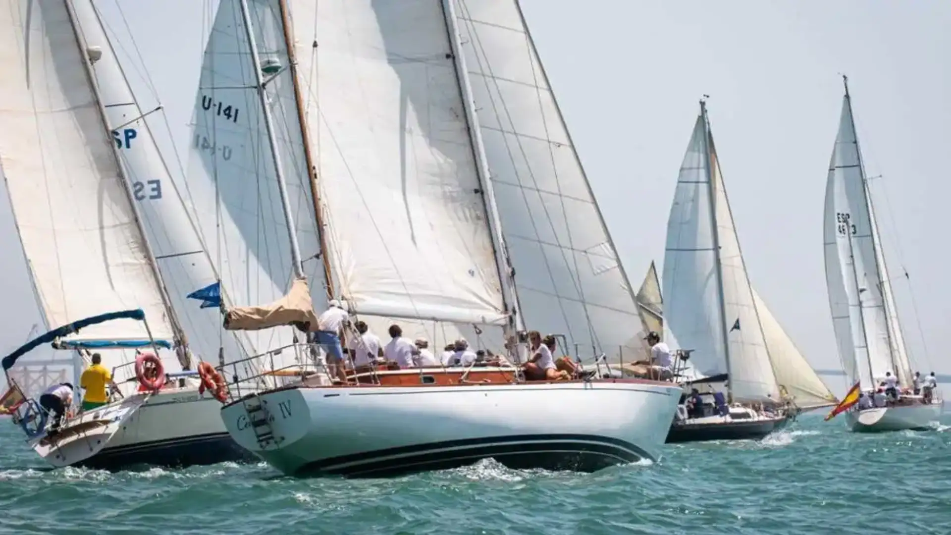 Leone marino del Portogallo vincitore della Coppa di Spagna di vela classica