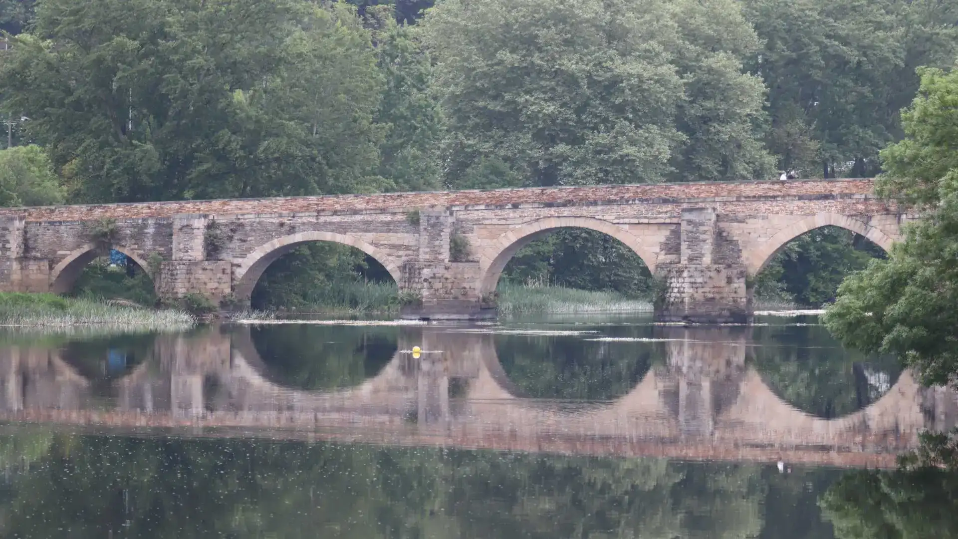 Il presidente del Lugo River Club e della Galizia Cannibale