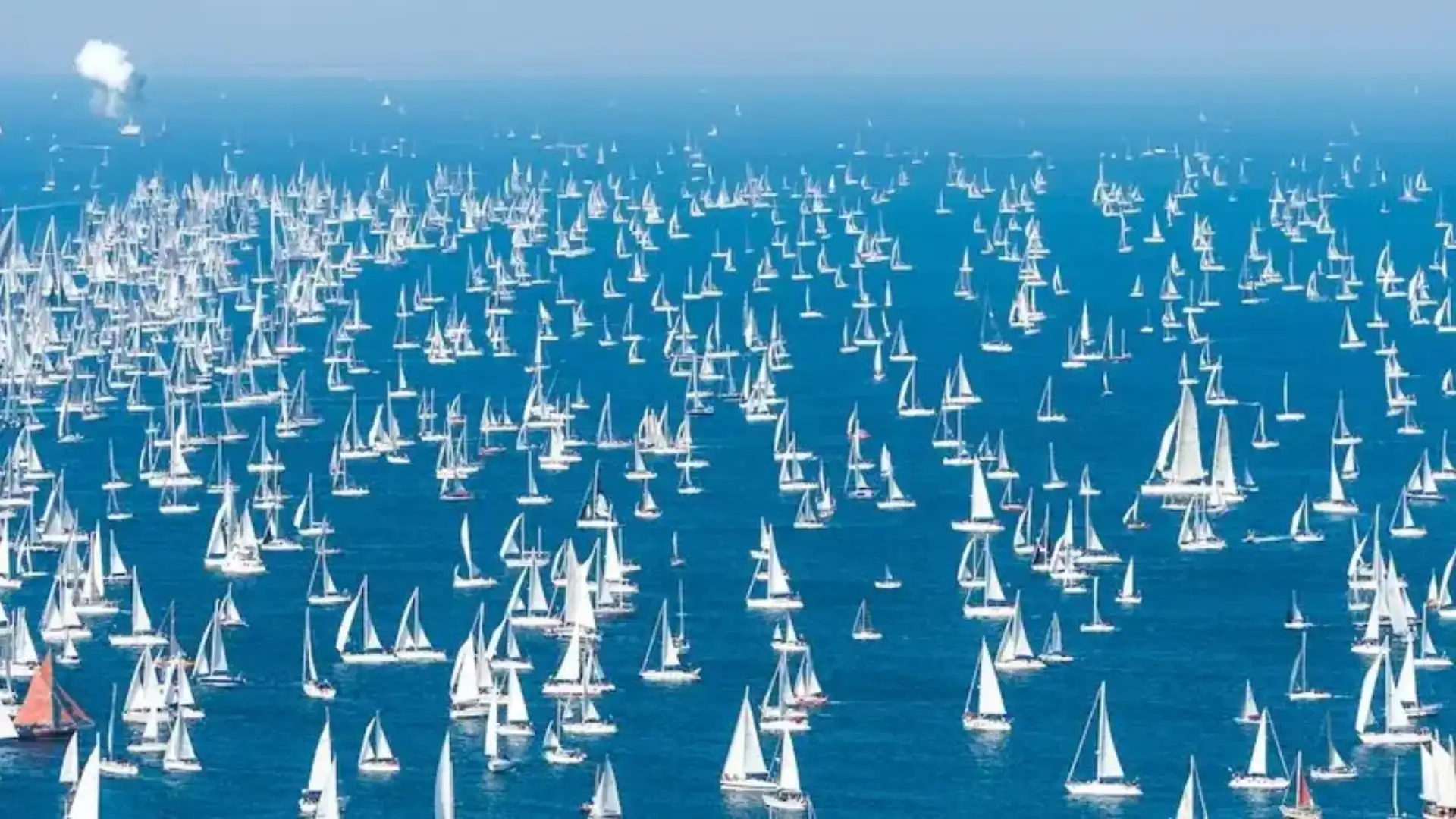 1600 barche nel Barcolana con la vittoria dell'americana Wendy Smith