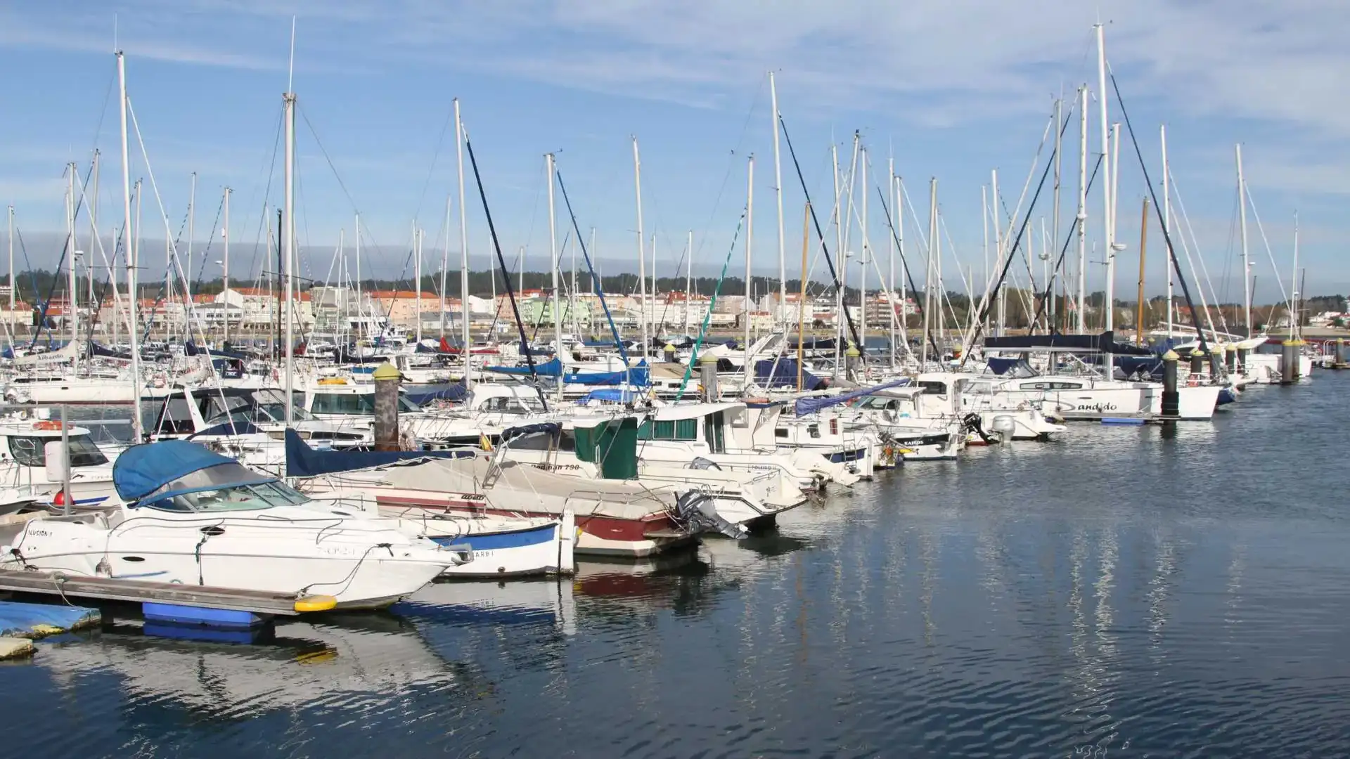 La nautica rimane stabile fino a novembre con 5,640 iscrizioni
