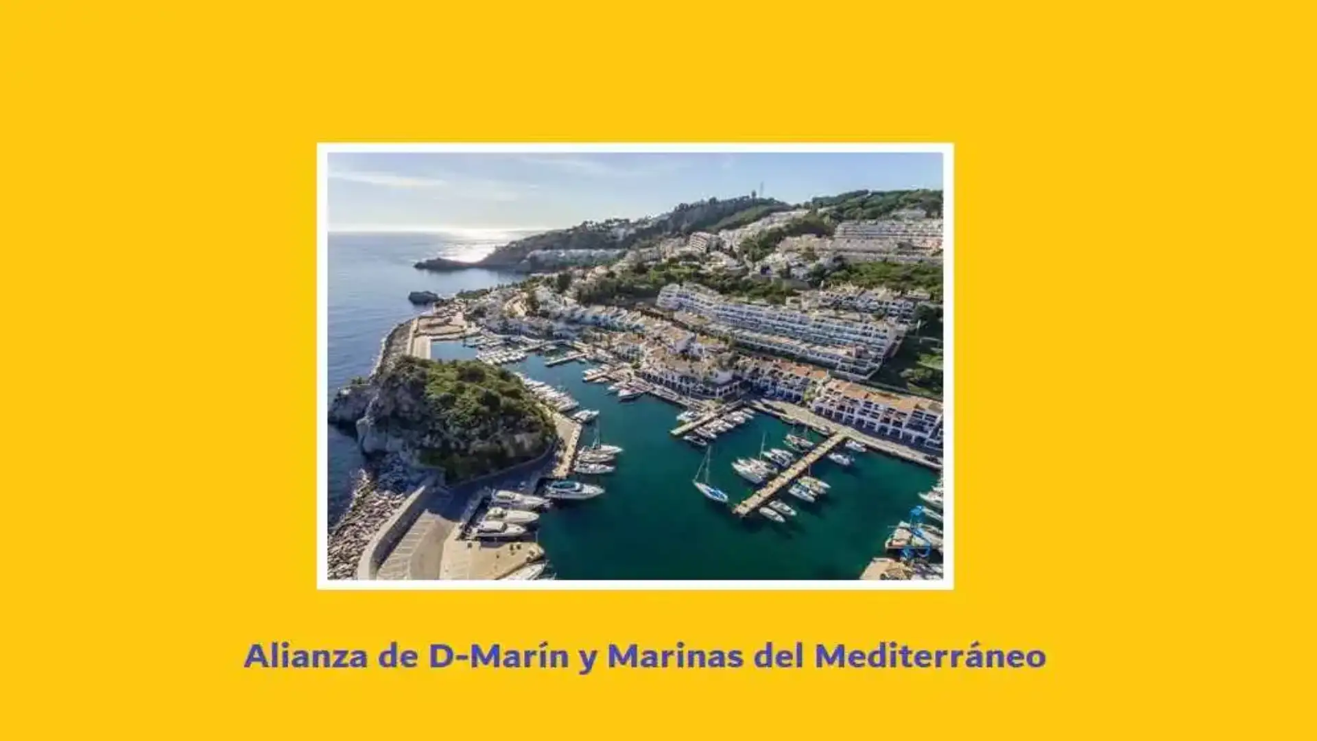 D-Marin e Marines del Mediterraneo chiudere un accordo di partenariato