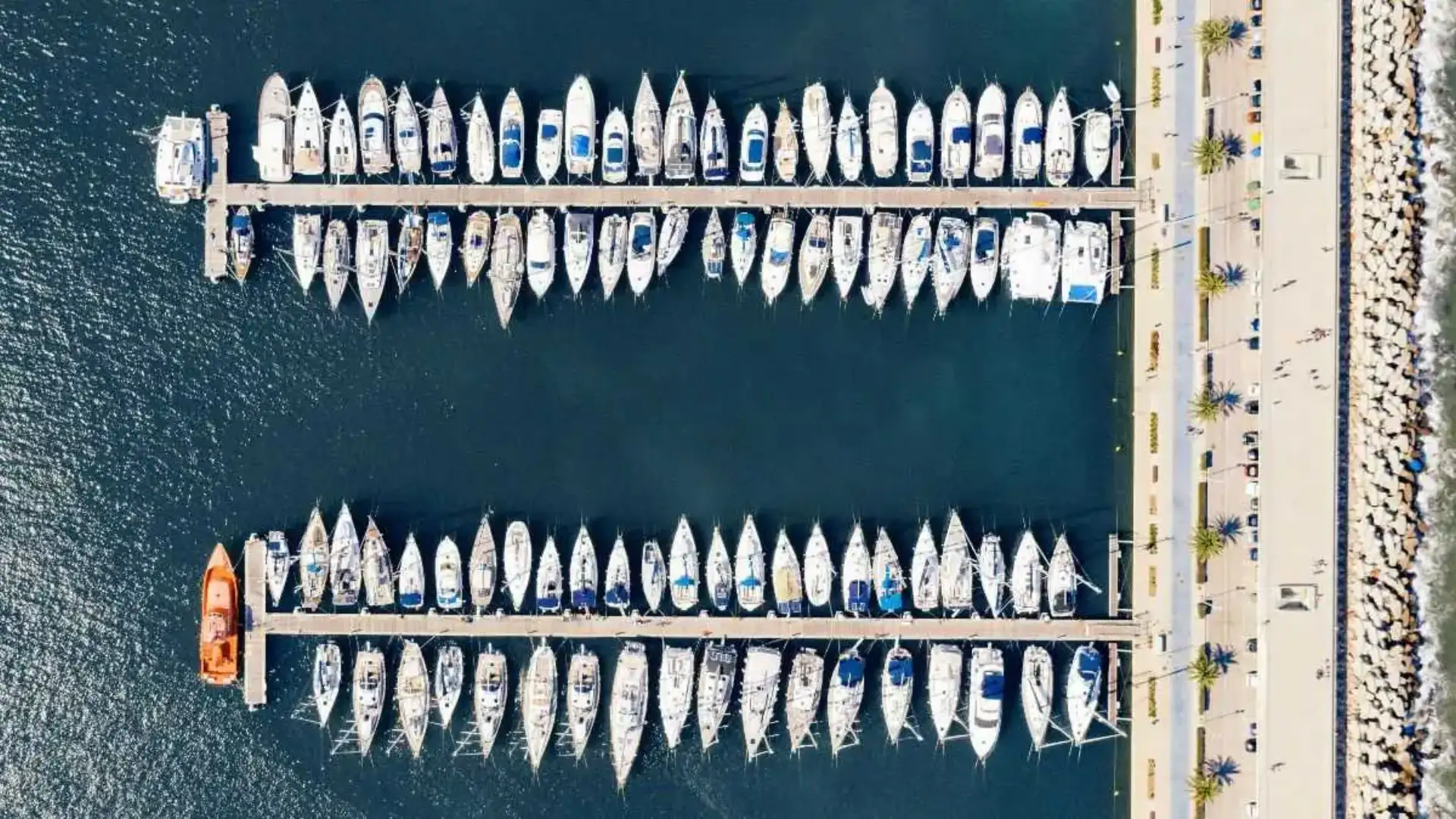Marina de Valencia inizia il 2023 appendendo il cartello completo