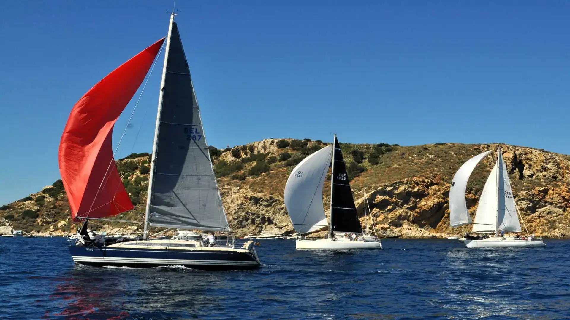 Trentaesima edizione della Tramuntana Regata che apre il Balis- LPesca
