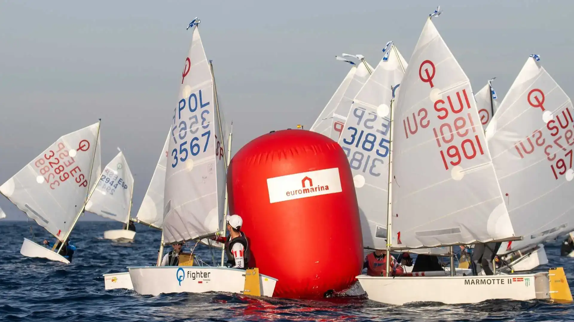 Di regata di Torrevieja, Adelaide e Lanzarote