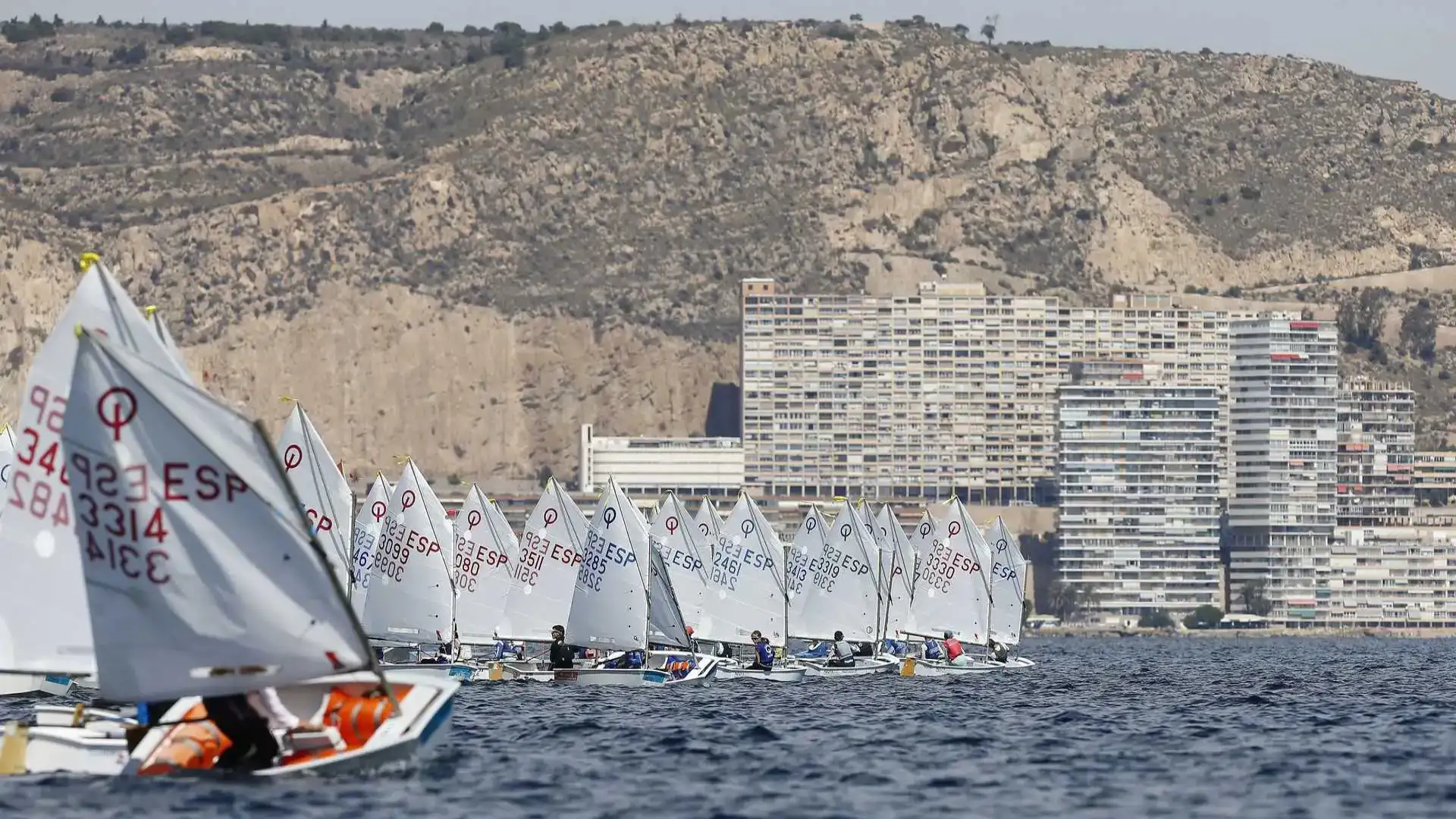 De regatas por Alicante, Alocén-Guadalajara