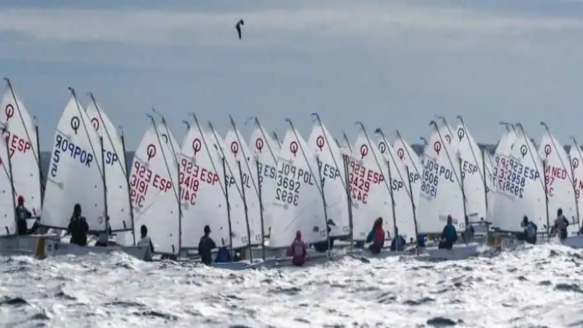 Ciutat de Palma de Optimist, Semana Alicante