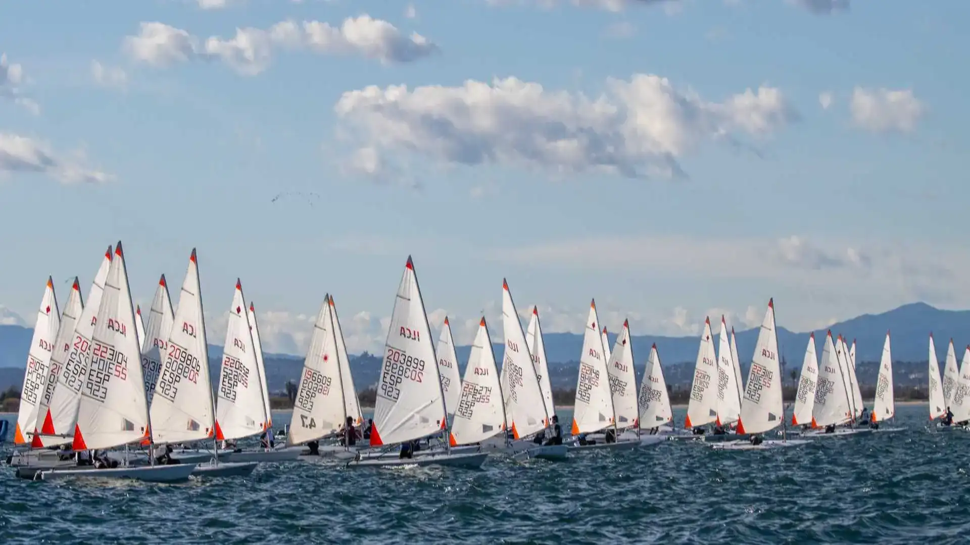 Troféu Levante em Valência, Arturo García Pallarés presidente vela murciana